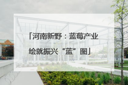 河南新野：蓝莓产业绘就振兴“蓝”图