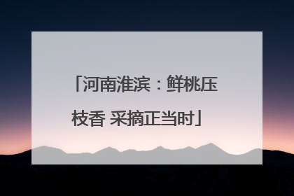 河南淮滨：鲜桃压枝香 采摘正当时