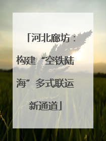 河北廊坊：构建“空铁陆海”多式联运新通道