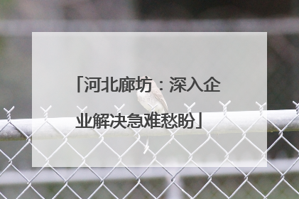河北廊坊：深入企业解决急难愁盼