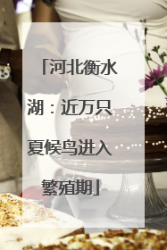 河北衡水湖：近万只夏候鸟进入繁殖期