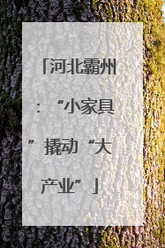 河北霸州：“小家具”撬动“大产业”