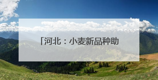 河北：小麦新品种助力农业高质量发展