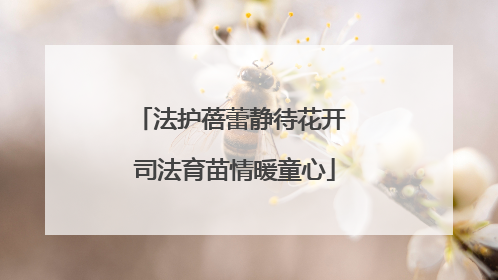 法护蓓蕾静待花开 司法育苗情暖童心