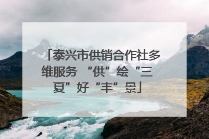 泰兴市供销合作社多维服务 “供”绘“三夏”好“丰”景
