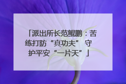 派出所长范鲲鹏：苦练打防“真功夫” 守护平安“一片天”