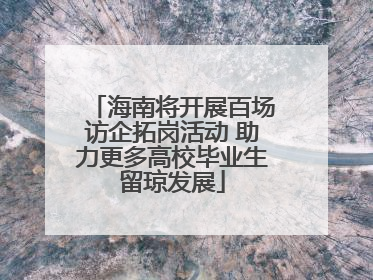 海南将开展百场访企拓岗活动 助力更多高校毕业生留琼发展