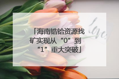 海南锆铪资源找矿实现从“0”到“1”重大突破