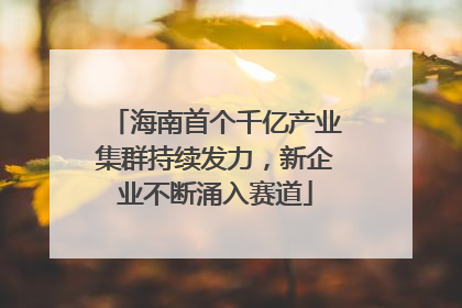 海南首个千亿产业集群持续发力，新企业不断涌入赛道