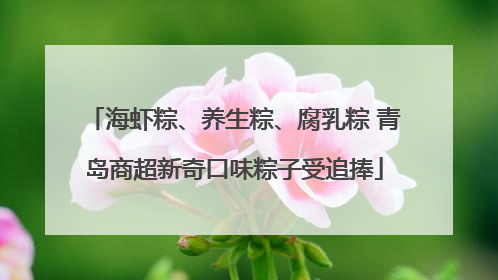 海虾粽、养生粽、腐乳粽 青岛商超新奇口味粽子受追捧