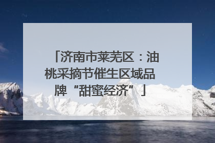 济南市莱芜区：油桃采摘节催生区域品牌“甜蜜经济”