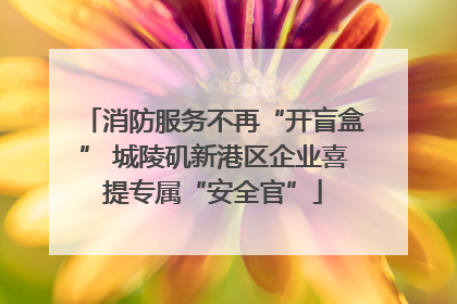 消防服务不再“开盲盒” 城陵矶新港区企业喜提专属“安全官”