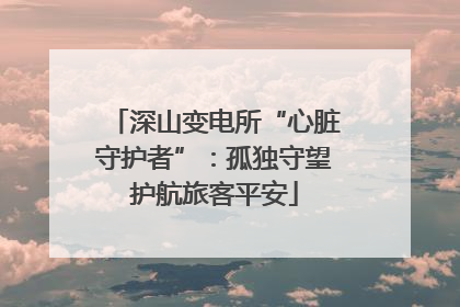 深山变电所“心脏守护者”：孤独守望护航旅客平安