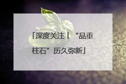 深度关注丨“品重柱石”历久弥新