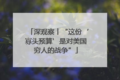 深观察丨“这份‘寡头预算’是对美国穷人的战争”