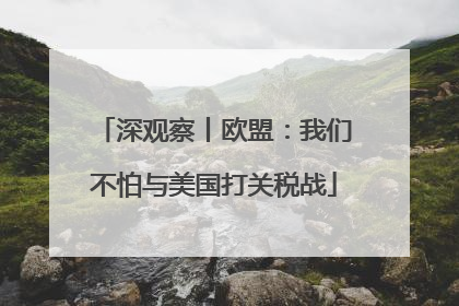 深观察丨欧盟：我们不怕与美国打关税战