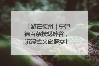 游在德州｜宁津德百杂技蟋蟀谷，沉浸式文旅盛宴