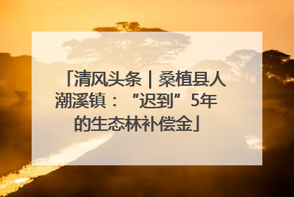 清风头条｜桑植县人潮溪镇：“迟到”5年的生态林补偿金