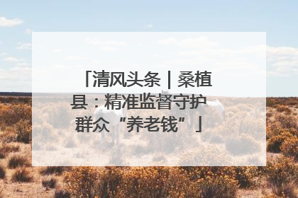 清风头条｜桑植县：精准监督守护群众“养老钱”