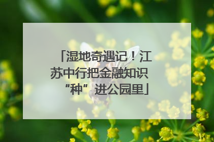 湿地奇遇记！江苏中行把金融知识“种”进公园里