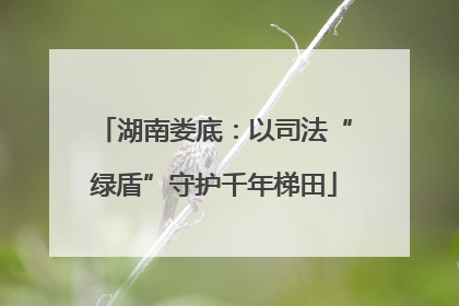 湖南娄底：以司法“绿盾”守护千年梯田