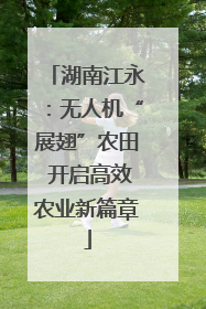 湖南江永：无人机“展翅”农田 开启高效农业新篇章