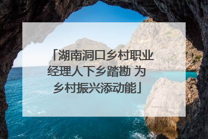 湖南洞口乡村职业经理人下乡踏勘 为乡村振兴添动能