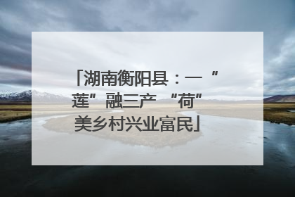 湖南衡阳县：一“莲”融三产 “荷”美乡村兴业富民