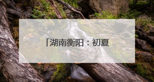 湖南衡阳：初夏“梅”好时光 采摘尝鲜正当时