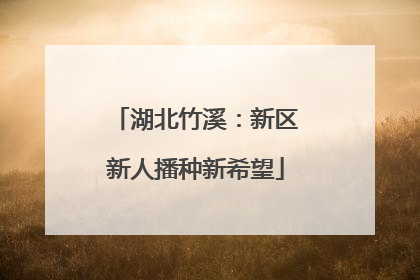 湖北竹溪：新区新人播种新希望
