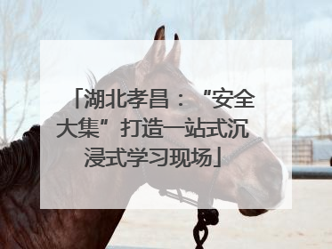 湖北孝昌：“安全大集”打造一站式沉浸式学习现场