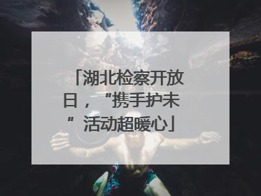 湖北检察开放日，“携手护未”活动超暖心