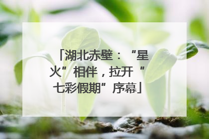 湖北赤壁：“星火”相伴，拉开“七彩假期”序幕