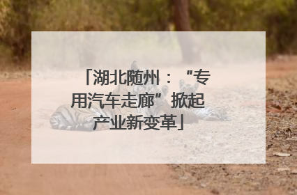 湖北随州：“专用汽车走廊”掀起产业新变革