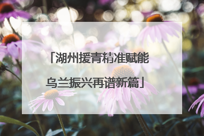 湖州援青精准赋能 乌兰振兴再谱新篇