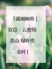 湖湘画卷｜宜章：云雾绕茶山 绿叶变金叶