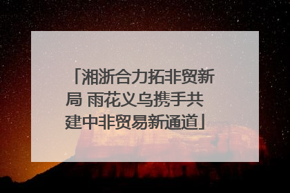 湘浙合力拓非贸新局 雨花义乌携手共建中非贸易新通道