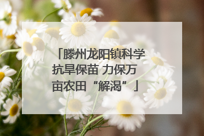 滕州龙阳镇科学抗旱保苗 力保万亩农田“解渴”