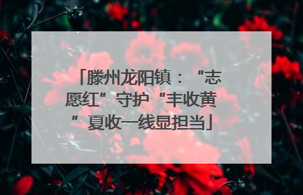 滕州龙阳镇：“志愿红”守护“丰收黄”夏收一线显担当