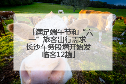 满足端午节和“六一”旅客出行需求 长沙车务段增开始发临客12趟