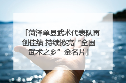 菏泽单县武术代表队再创佳绩 持续擦亮“全国武术之乡”金名片
