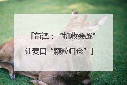 菏泽：“机收会战”让麦田“颗粒归仓”