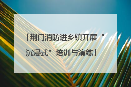 荆门消防进乡镇开展“沉浸式”培训与演练