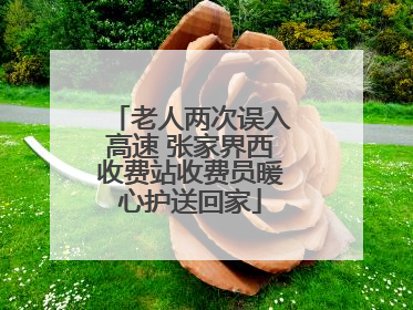 老人两次误入高速 张家界西收费站收费员暖心护送回家