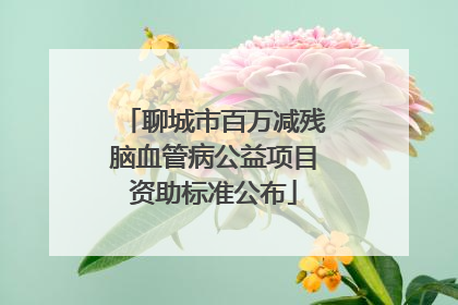 聊城市百万减残脑血管病公益项目资助标准公布