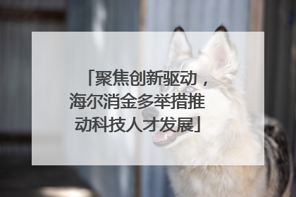 聚焦创新驱动，海尔消金多举措推动科技人才发展