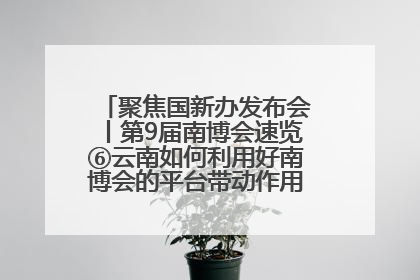 聚焦国新办发布会丨第9届南博会速览⑥云南如何利用好南博会的平台带动作用，深化与南亚国家的交流与合作？