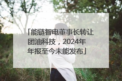 能链智电董事长转让团油科技，2024年年报至今未能发布