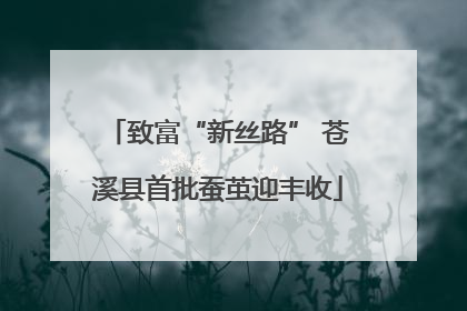 致富“新丝路” 苍溪县首批蚕茧迎丰收