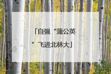 自强“蒲公英”飞进北林大